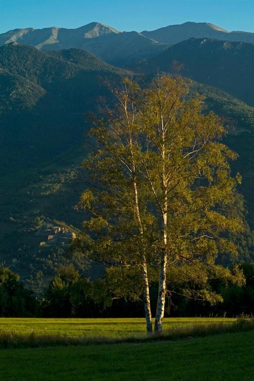 Отель El Casal Пра-де-Молло-ла-Прест Экстерьер фото
